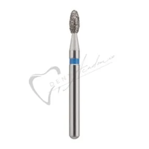 Accueil 2035 bleue
