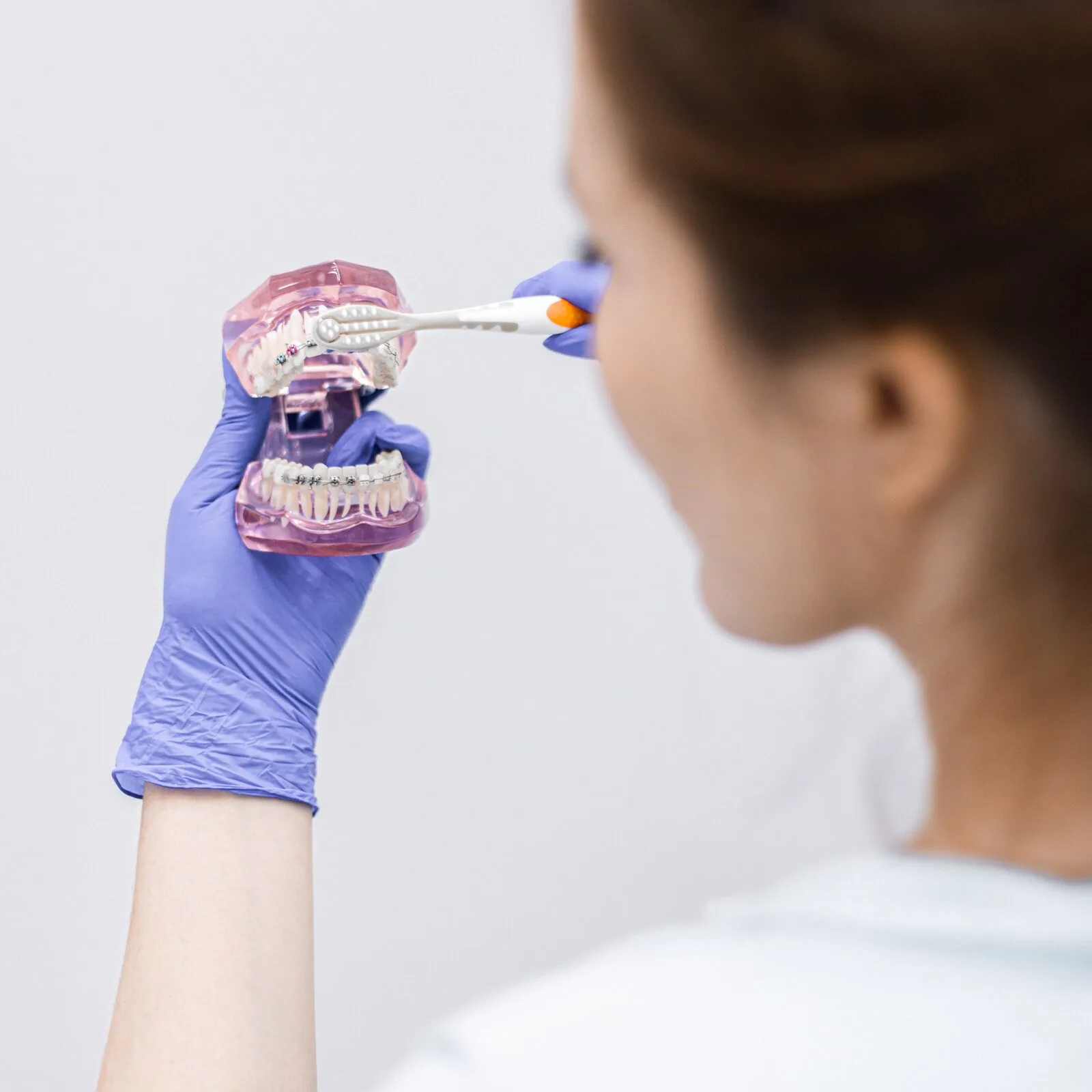 Dentiste démontrant la technique de brossage de Bass modifiée sur un modèle dentaire